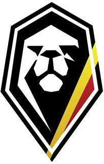 Belgium 0-Pres Alternate Logo v2 iron on transfers for T-shirts
